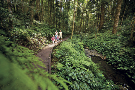 Familie beim Spaziergang in den Bunya Mountains, Queensland, Australien